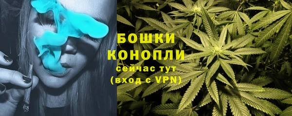 ALPHA PVP Лагань