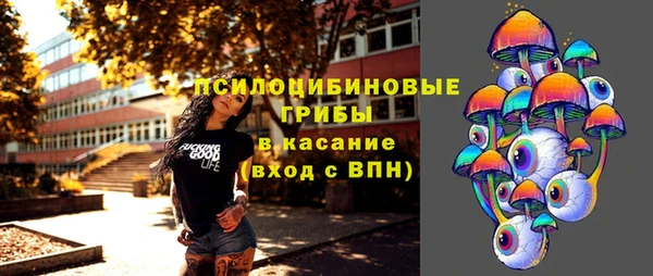 первитин Лабытнанги